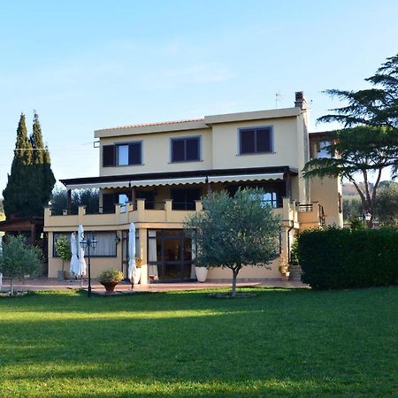 Bed And Breakfast La Corte Degli Ulivi Civitavecchia Ngoại thất bức ảnh